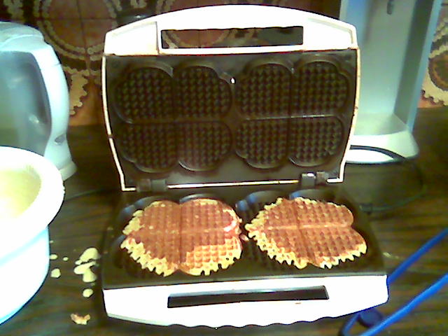 Файл:20060700 dual waffles done.jpg