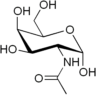 Файл:Acetylgalactosamine.png