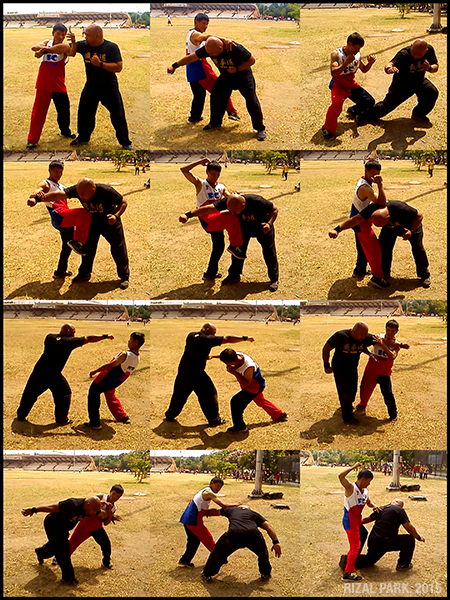 Файл:Peter Siscon sequence grid.png