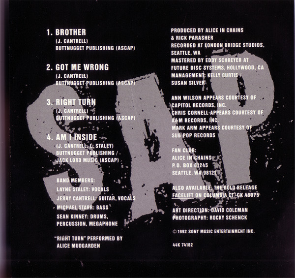 Файл:Aic-sap-back-cover.jpg