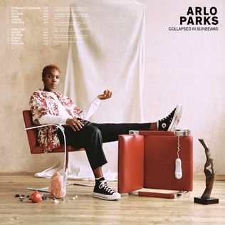 Обложка альбома Arlo Parks «Collapsed in Sunbeams» (2021)