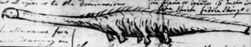 Файл:Stronsay beast1.jpg