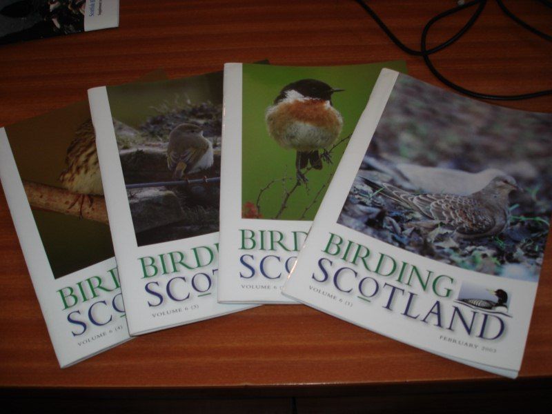 Файл:Birding scotland magazine.jpg