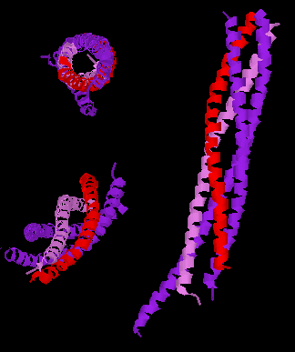 Файл:Coresnarecomplex.png