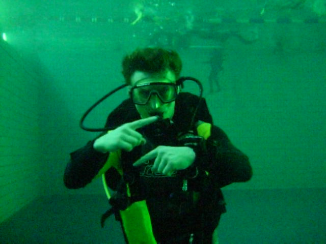 Файл:Diving signal repeat.jpg