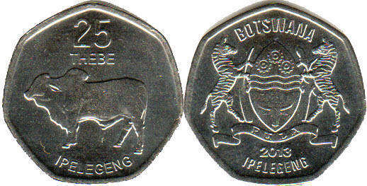 Файл:25 thebe 2013.jpg
