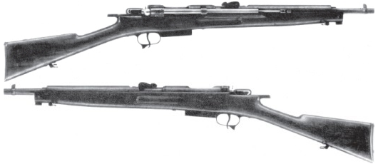 Файл:Cei-Rigotti version 2.png