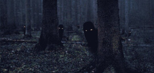 Файл:Landvaettir.png