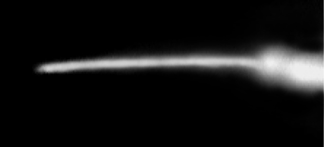 Файл:Sensory cilium.jpg