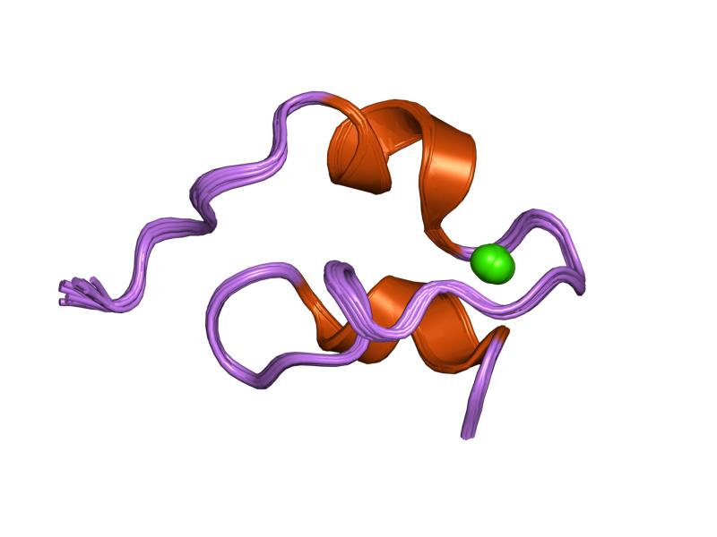 Файл:PDB 1pb5 EBI.jpg