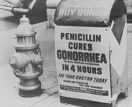Файл:PenicillinPSAedit.jpg