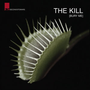 Файл:30 Seconds to Mars - The Kill.jpg