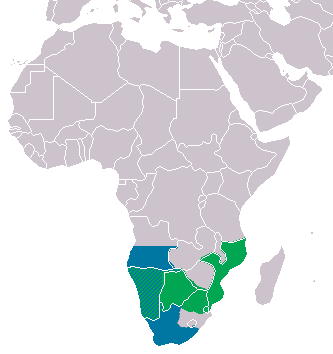 Файл:Aspidelaps range.png