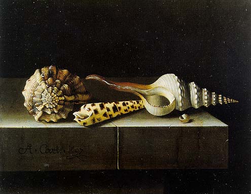 Файл:Coorte, Adriaen - Still Life with Shells - 1697.jpg