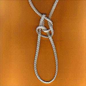 Файл:Farmer'sLoop.jpg
