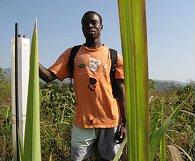 Файл:Voa Guinea chimp guide Gomis 30jan08.jpg