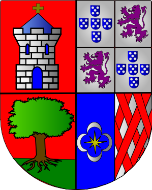 Файл:Armas duques saldanha.png