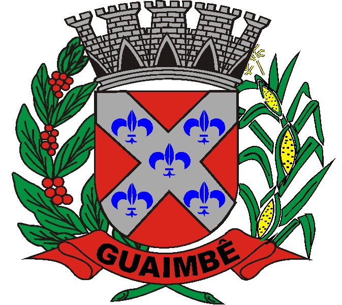 Файл:Brasão Guaimbê.jpg