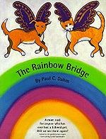 Файл:Rainbowbridge.jpg