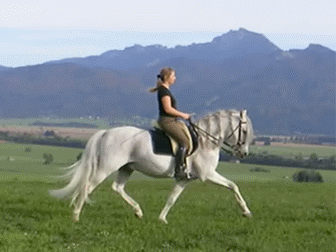 Файл:Trot animated.gif