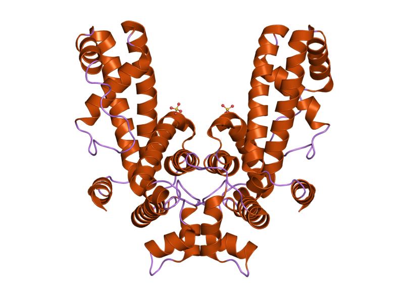 Файл:PDB 1ku2 EBI.jpg