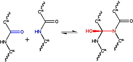 Файл:Cyclol reaction.png