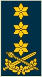 Файл:OF-8 generolas leitenantas.jpg