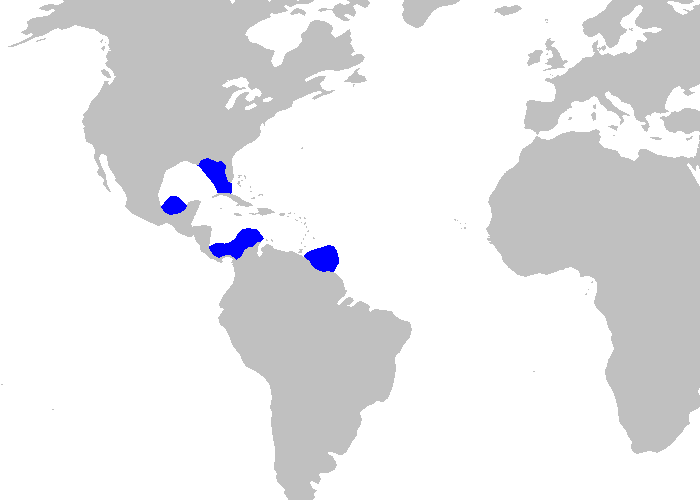 Файл:Apristurus parvipinnis distmap.png