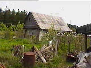 Малые Борницы. 1995 год