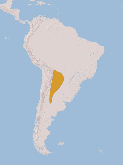 Файл:Chunga burmeisteri geographic range.png