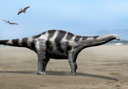 Файл:Demandasaurus NT.jpg