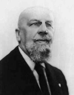 Файл:Gino Fano.jpg