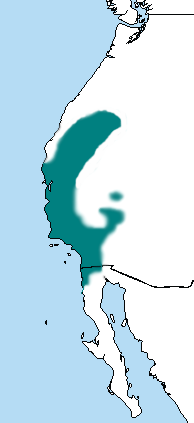 Файл:Picoides nuttallii distr.png