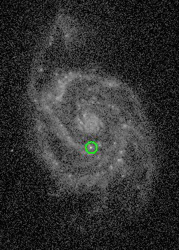 Файл:Supernova SN 2005cs in ultraviolet.jpg