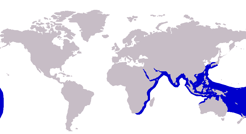 Файл:Carangoides chrysophrys distribution.png