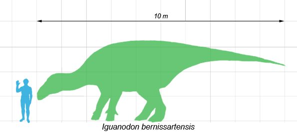 Файл:Iguanodon scale.png
