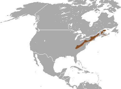 Файл:Long-tailed Shrew area.png