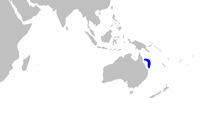 Файл:Asymbolus pallidus distmap.png
