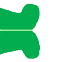 Файл:Leaf morphology base auriculate (cropped).png