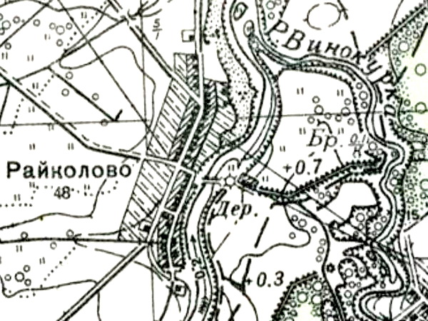 План деревни Райколово. 1941 год