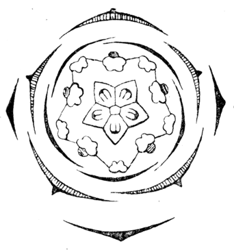 Файл:Geranium pratense flowerdiagram.png