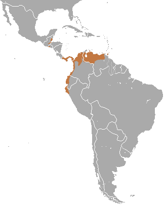 Файл:Robinson's Mouse Opossum area.png