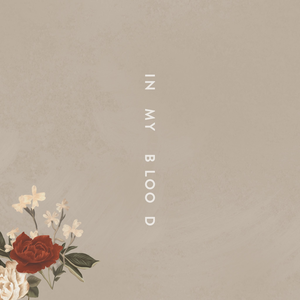 Файл:Shawn Mendes - In My Blood.png