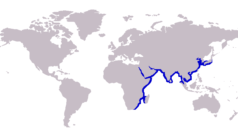 Файл:C. aramatus distribution.png