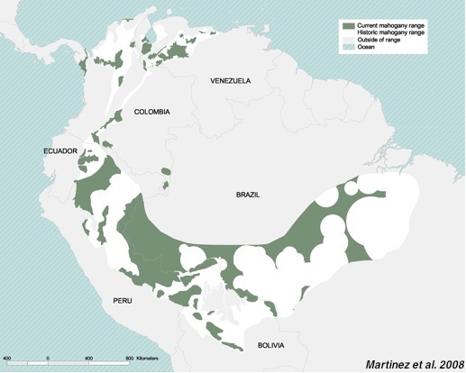 Файл:Current range of big-leaf mahogany in South America.jpg