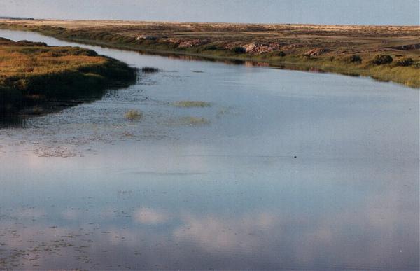 Файл:Ishim.jpg