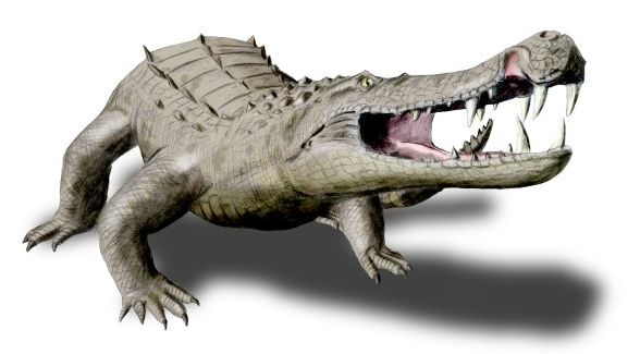 Файл:Kaprosuchus NT.jpg