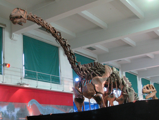 Файл:Patagosaurus (1).jpg