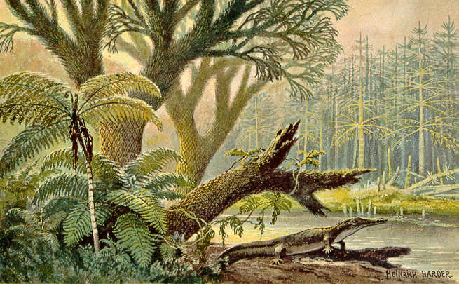 Файл:Archegosaurus.jpg