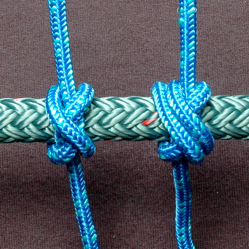 Файл:Constrictors-Header.jpg